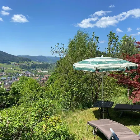 7-taeler-blick - Mit Holzofen Und Garten - Naturnah 아파트 바이에르스브론