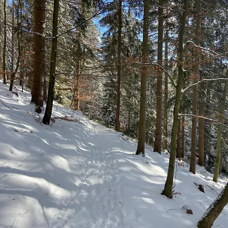 7-taeler-blick 公寓 拜尔斯布龙