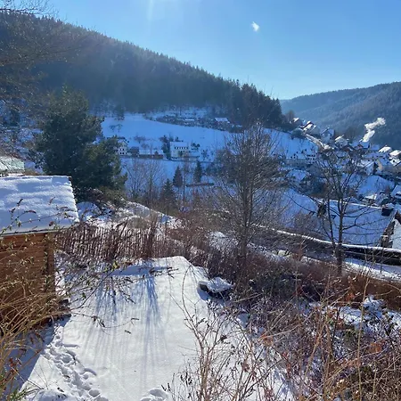 Appartamento 7-taeler-blick - Mit Holzofen Und Garten - Naturnah Baiersbronn