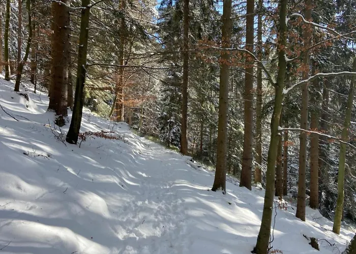 7-taeler-blick Apartman Baiersbronn