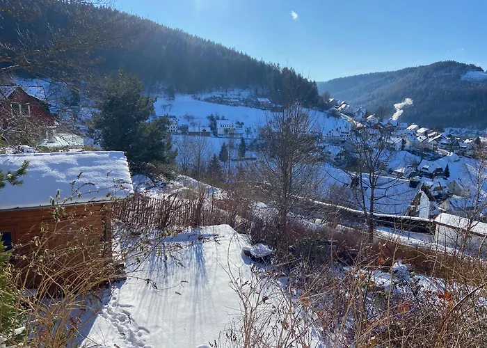 Apartman 7-taeler-blick Baiersbronn