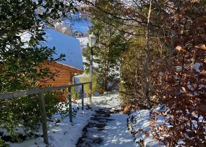 7-taeler-blick Baiersbronn